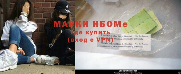 индика Богданович