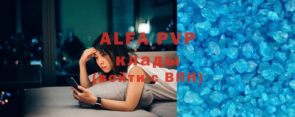 индика Богданович