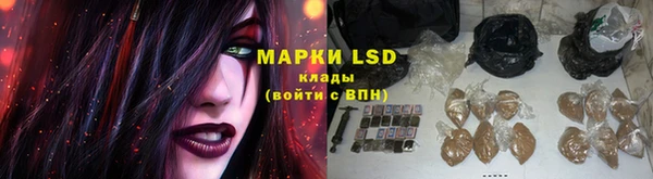 индика Богданович