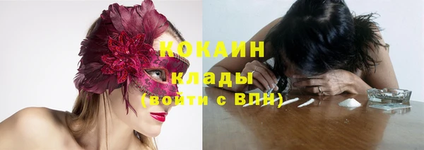 индика Богданович