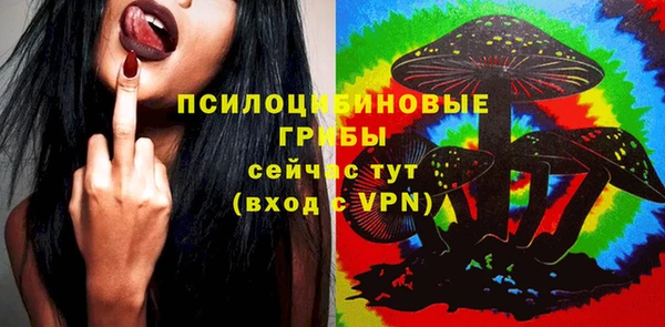 дмт Богородск