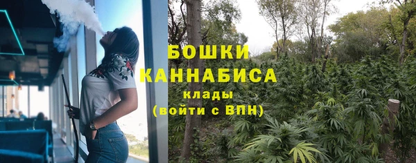 дмт Богородск