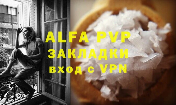 индика Богданович