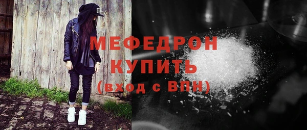 индика Богданович