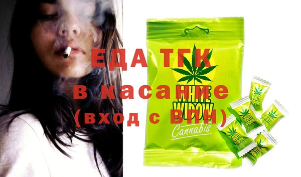 индика Богданович