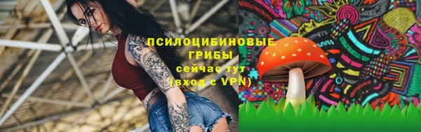 индика Богданович