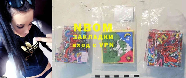 индика Богданович