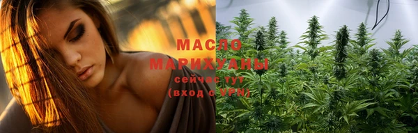индика Богданович