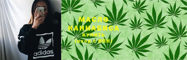 индика Богданович