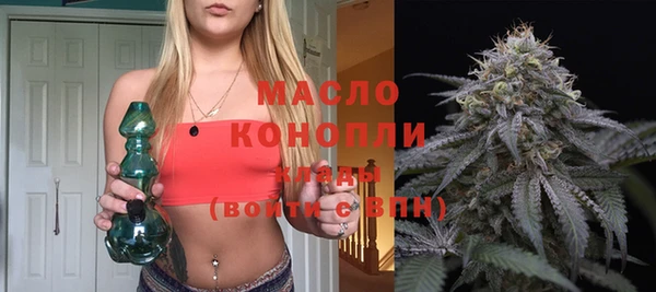 индика Богданович