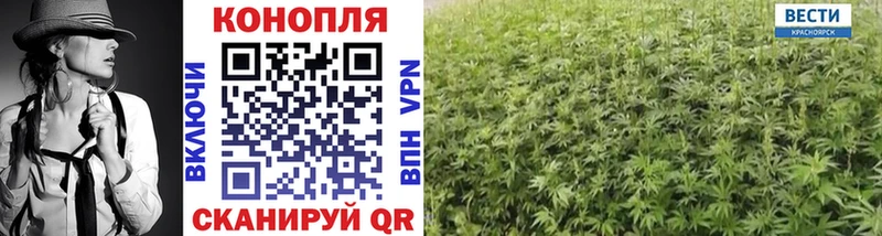 Канабис White Widow  купить  цена  Гусь-Хрустальный 
